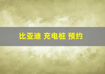 比亚迪 充电桩 预约